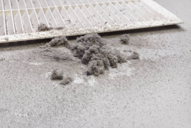 Best Ductwork Cleaning Services  in Bicknell, IN